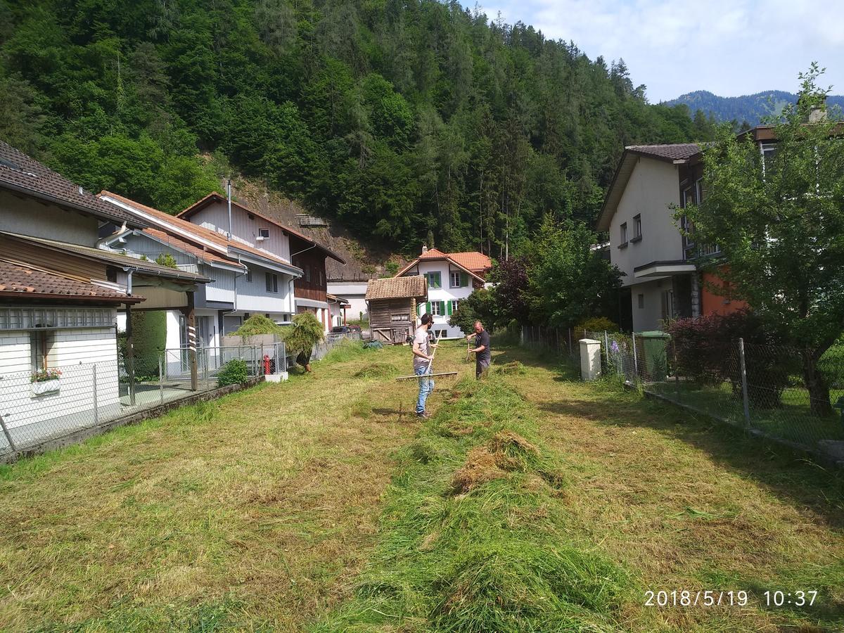 Jungfrau Family Holiday Home Matten bei Interlaken Exterior foto